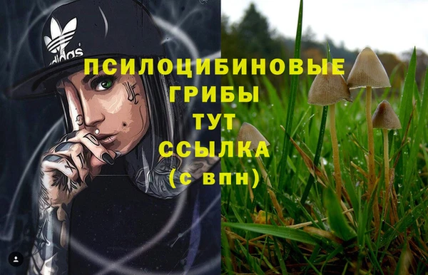 бошки Алзамай