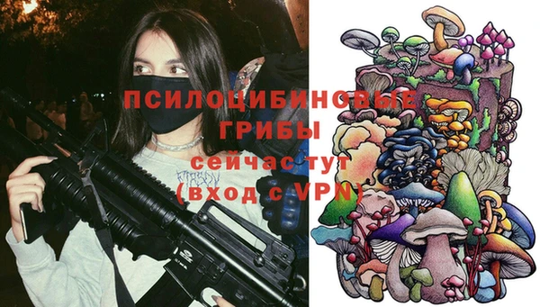 спайс Пересвет