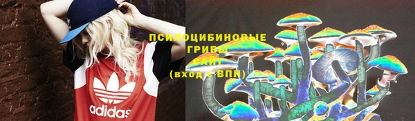 винт Алексеевка