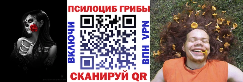Псилоцибиновые грибы Psilocybe  Петровск 