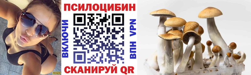 Псилоцибиновые грибы Magic Shrooms Петровск